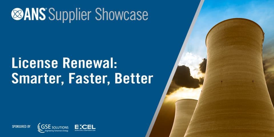 Excel Services and GSE Solutions talk license renewal