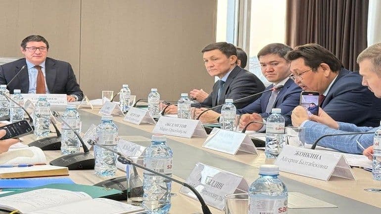 Kazakhstan names first NPP