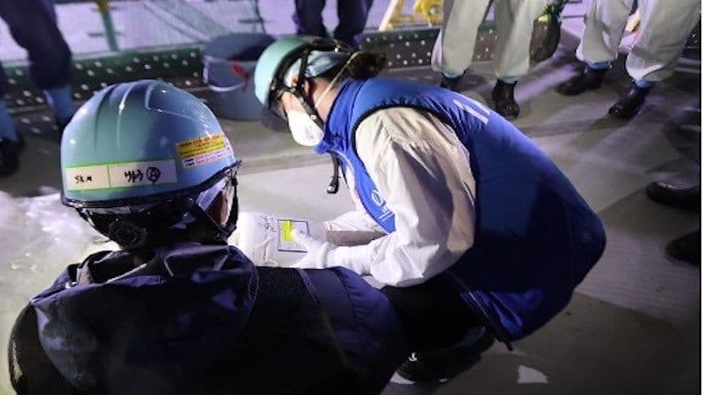 Latest Fukushima water release within safety limits