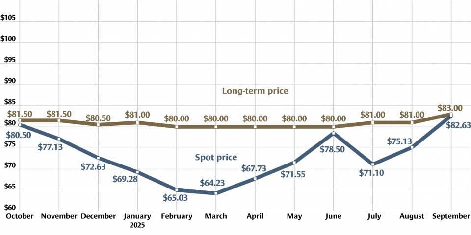 Uranium prices up: Could demand more than double?