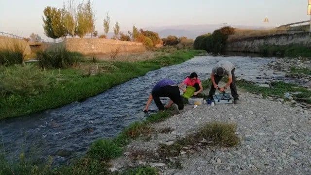 IAEA publishes report on isotope tracing for water pollution monitoring