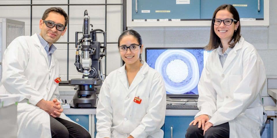 Study finds silicon in unirradiated TRISO particles